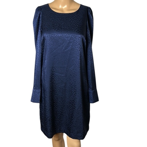 RW&CO  shimmer sateen Dress,NWT, vtg tag, keyhole,hook ,cuffs, lined, - Picture 1 of 13